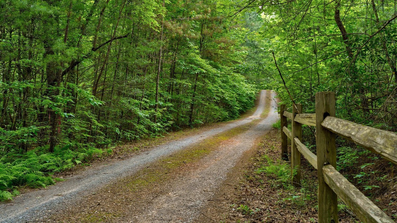 Photo of Outdoor in Ellijay