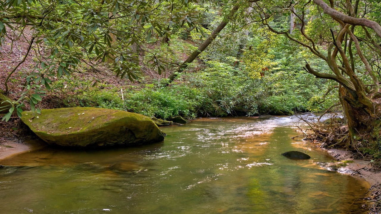 Photo of Others in Ellijay