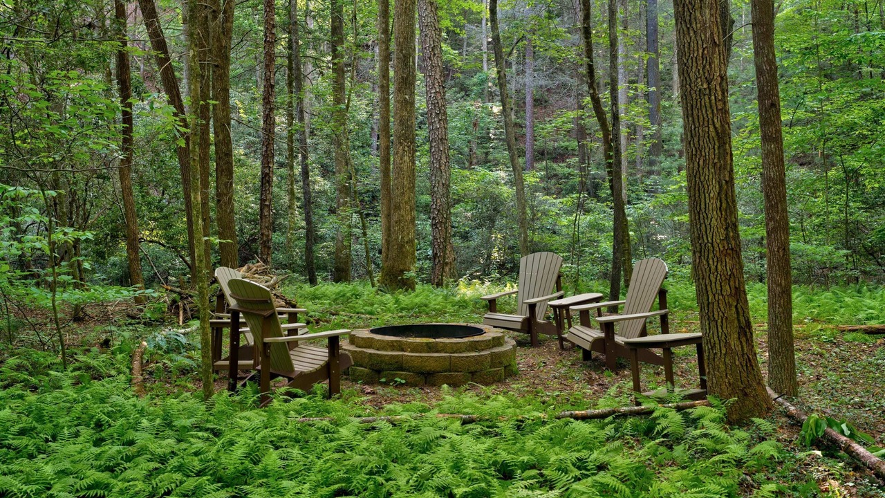 Photo of Others in Ellijay