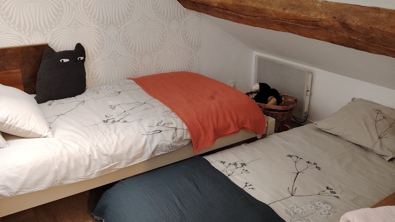 Photo of Bedroom in Conflans-Sainte-Honorine
