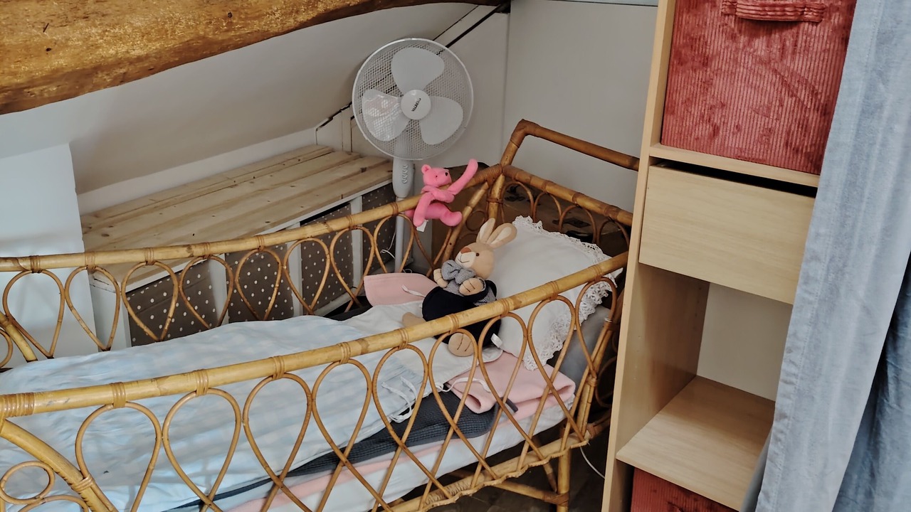 Photo of Bedroom in Conflans-Sainte-Honorine