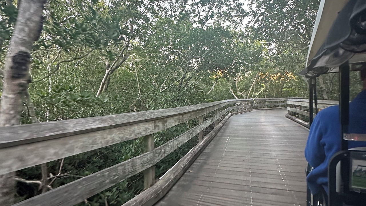 Photo of Outdoor in Pelican Bay
