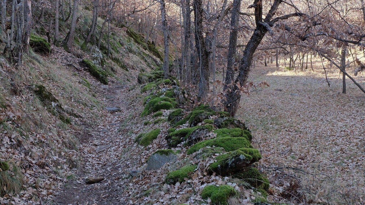 Photo of Others in Isavarre