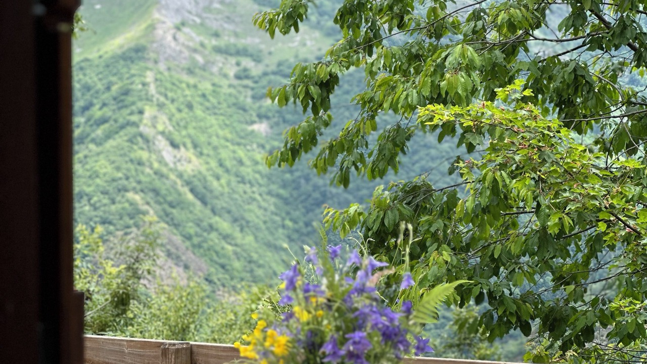 Photo of Outdoor in Viscos