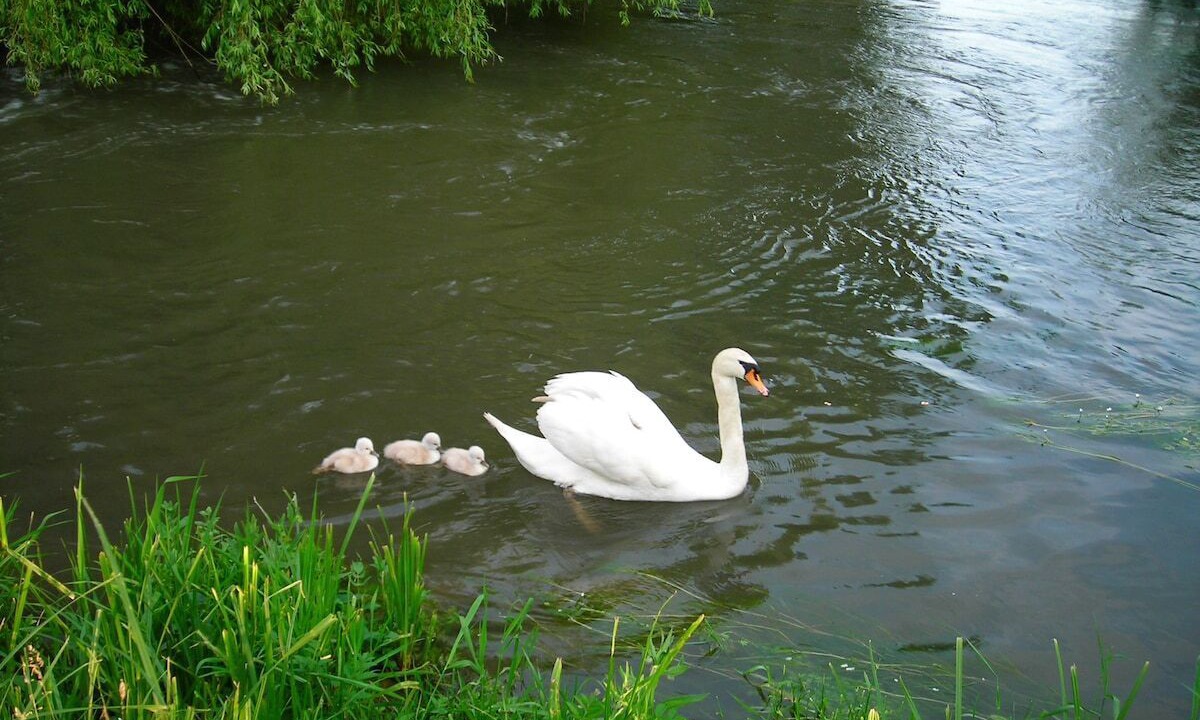 Photo of Others in Lhomme