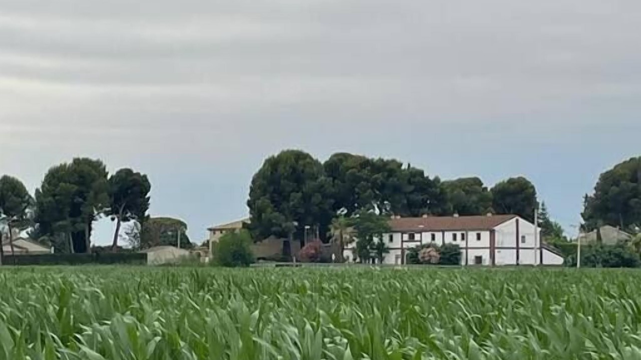Photo of Others in Zaragoza