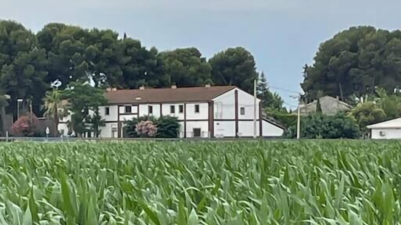 Photo of Others in Zaragoza