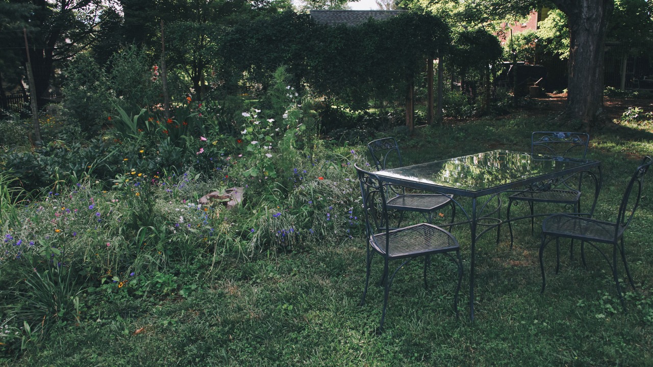 Photo of Outdoor in Lexington