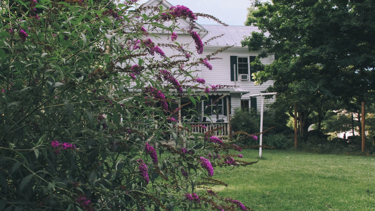 Photo of Outdoor in Lexington