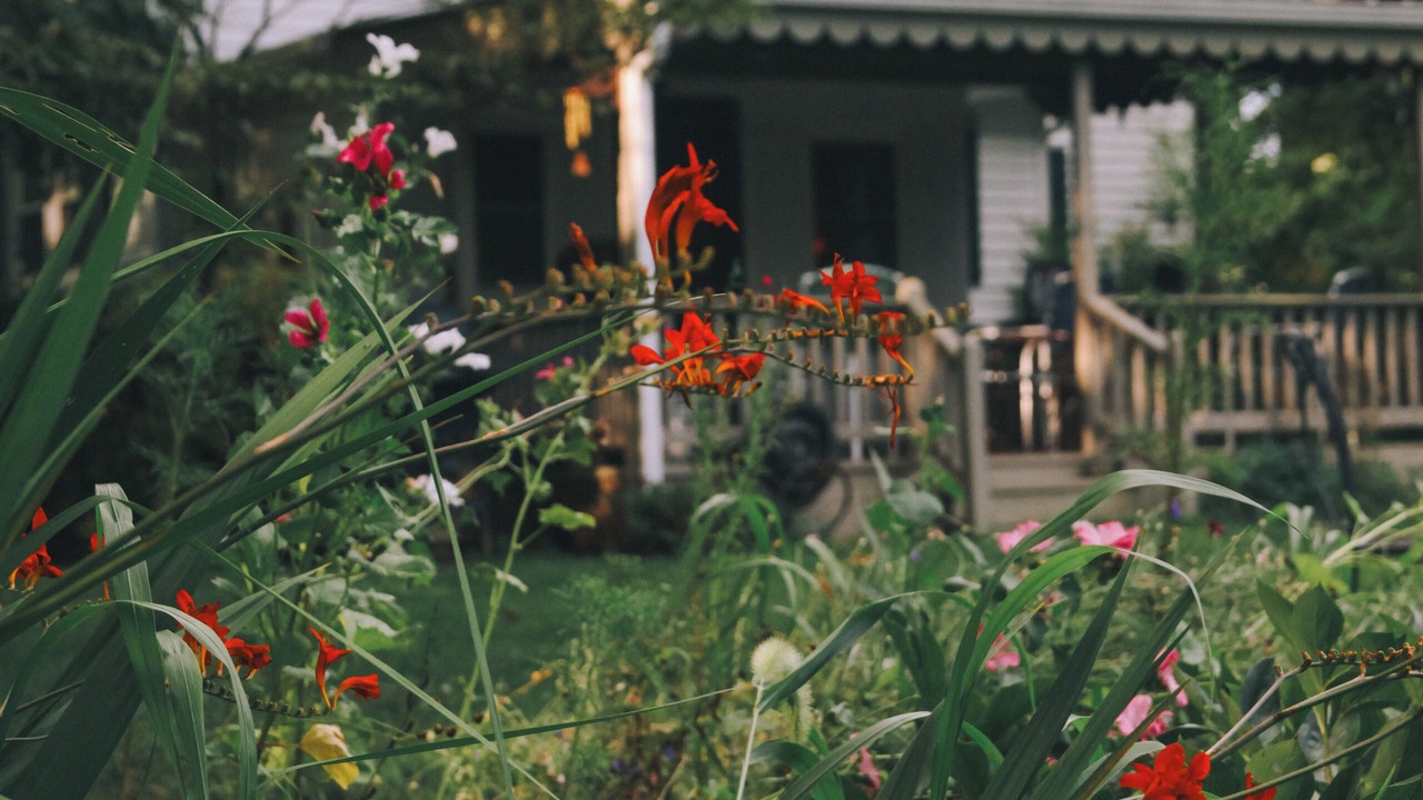 Photo of Outdoor in Lexington