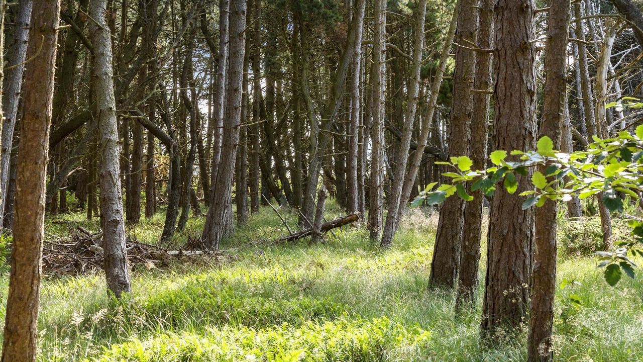 Photo of Others in Klegod Strand