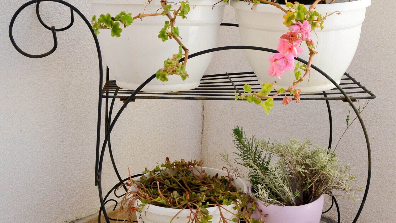 Photo of Patio Balcony in Ljubac