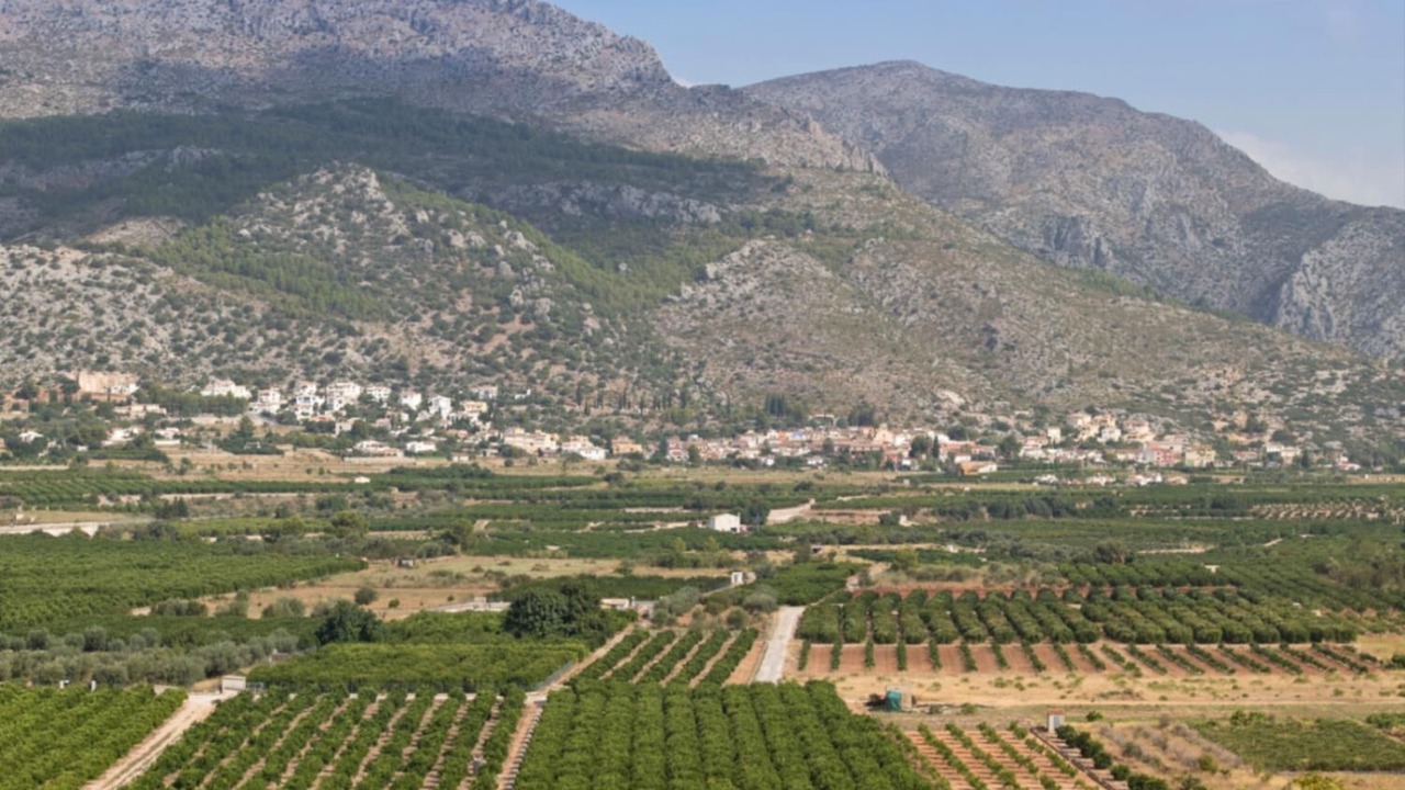 Photo of Outdoor in Orba