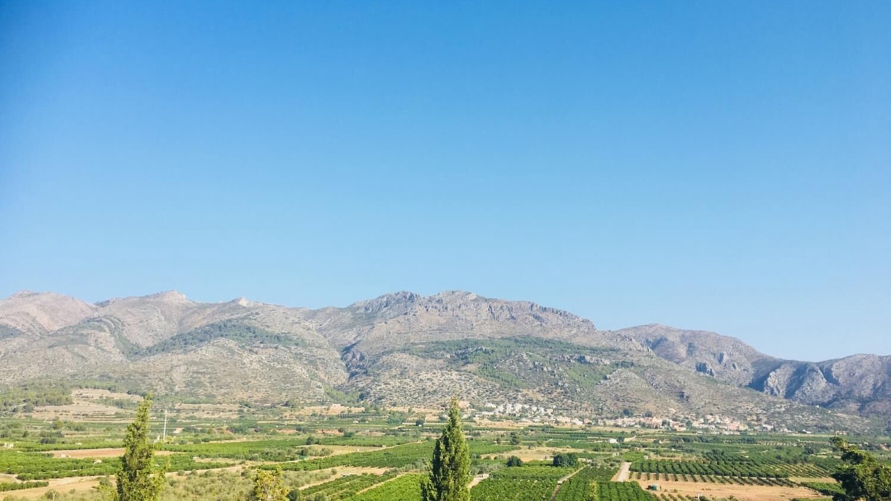 Photo of Others in Orba