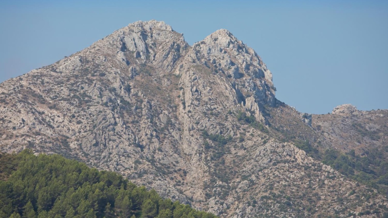 Photo of Others in Orba