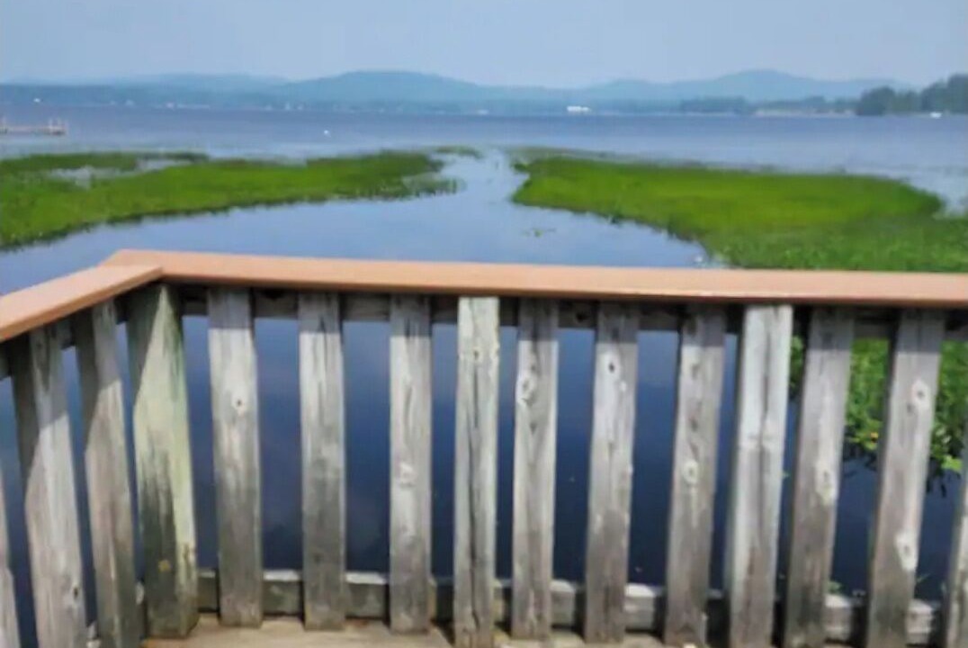 Photo of Outdoor in Speculator