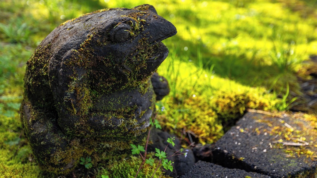 Photo of Outdoor in Kailua-Kona