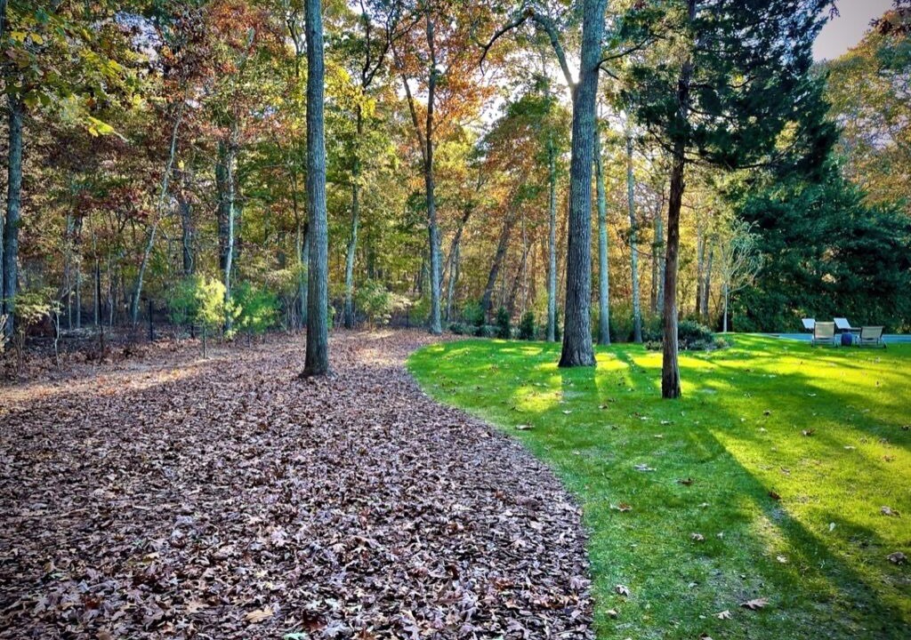 Photo of Outdoor in Northwest Harbor