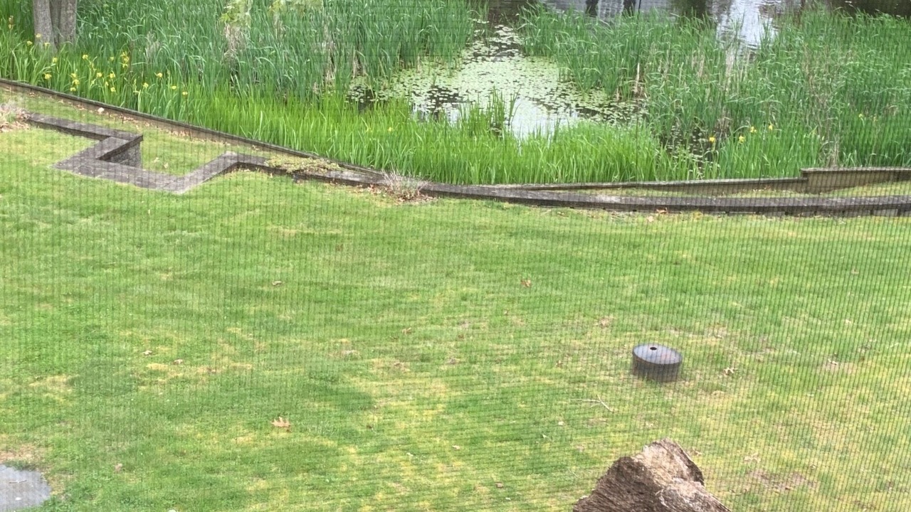 Photo of Outdoor in Flanders