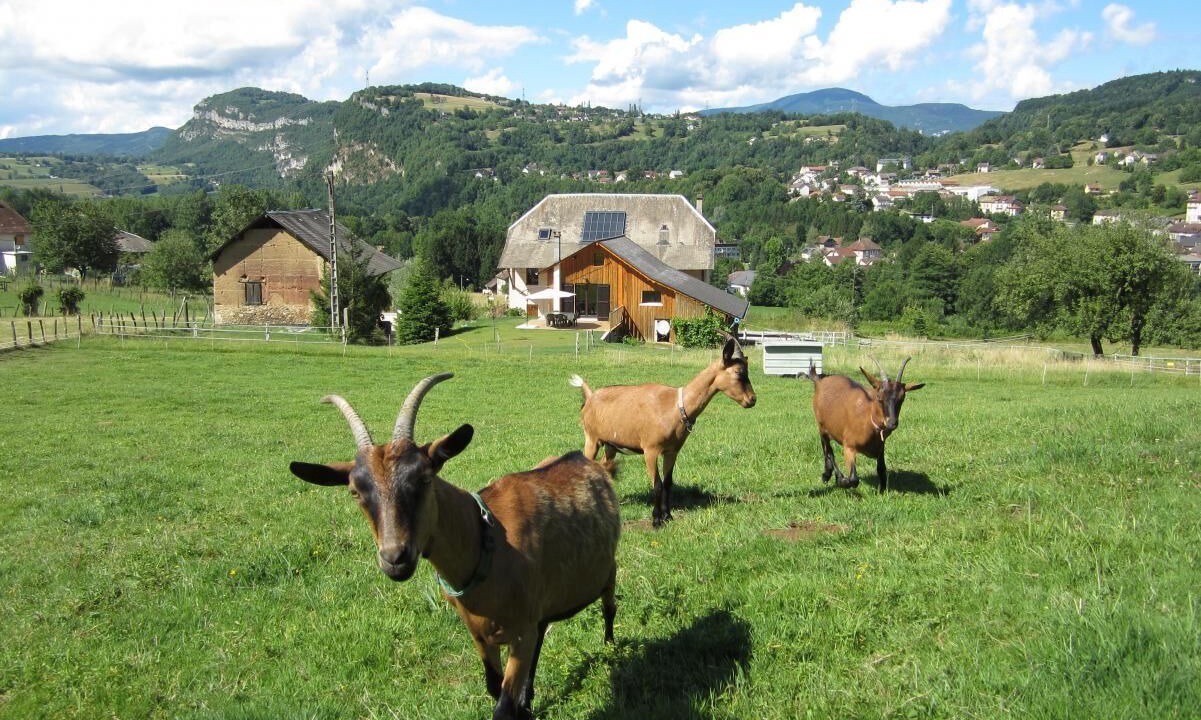 Photo of Outdoor in La Bridoire