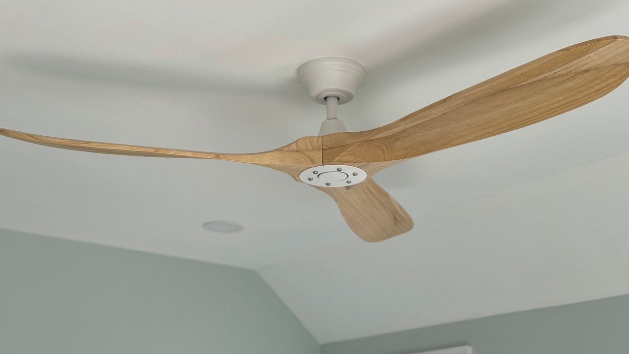 Photo of Others in West Mystic