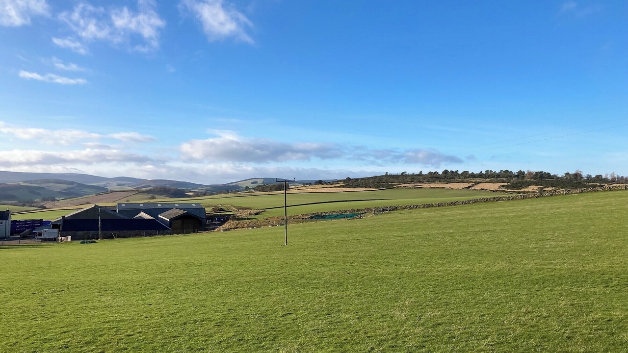 Photo of Others in Alford