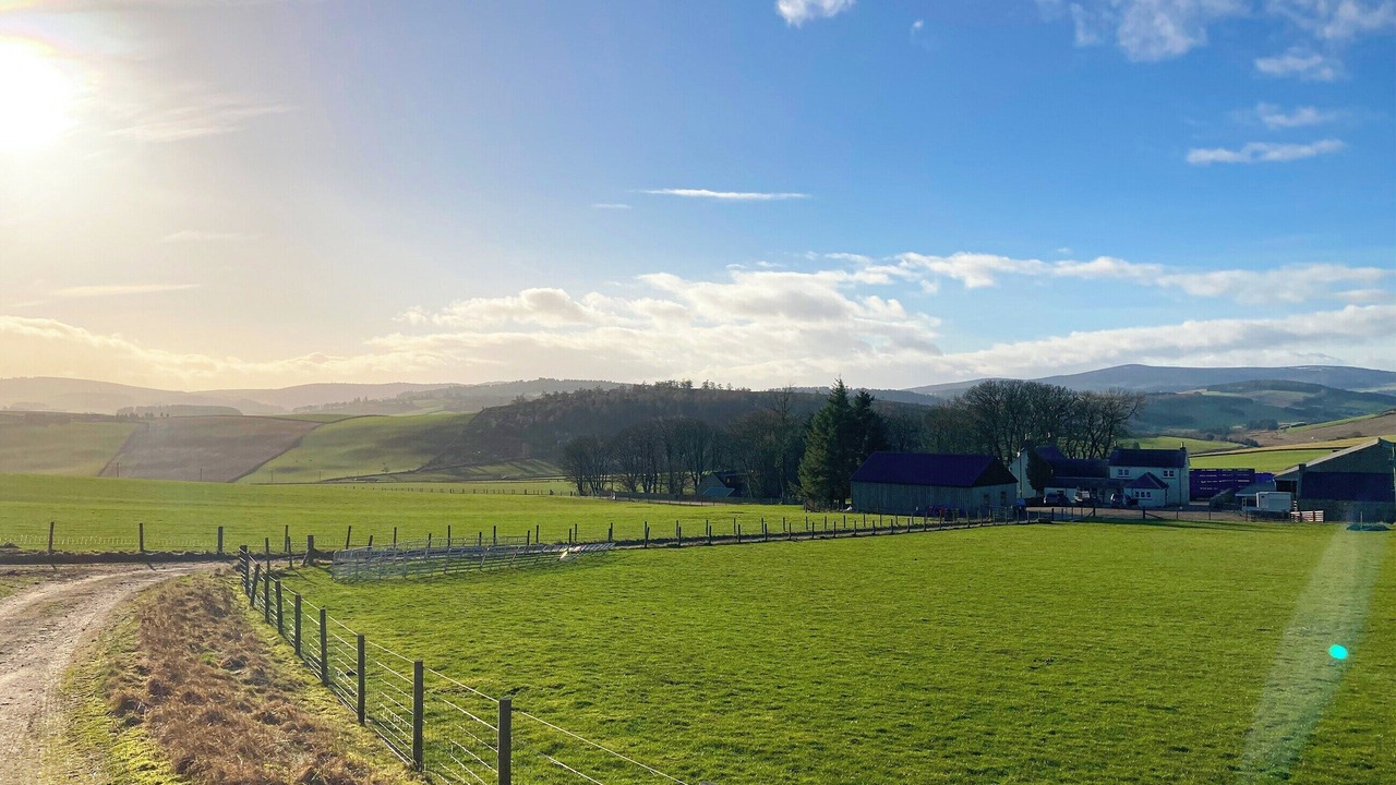 Photo of Others in Alford