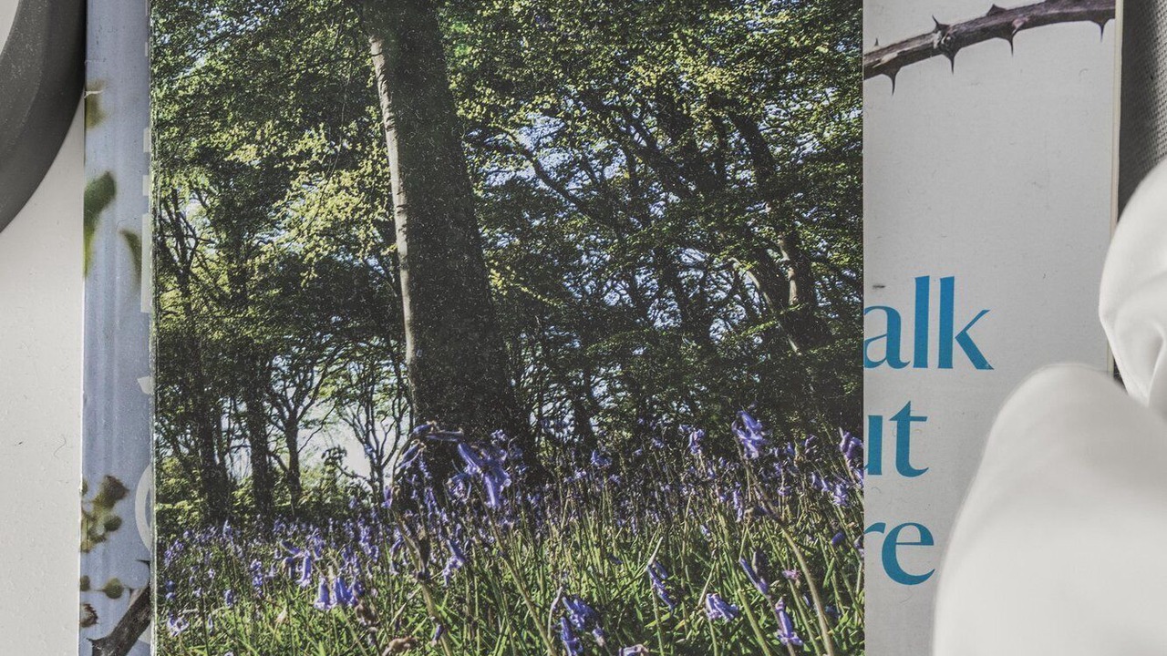 Photo of Others in Broadbridge Heath