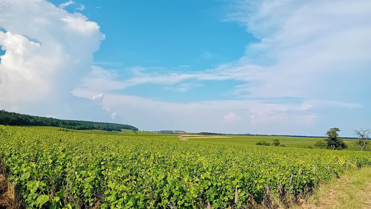 Photo of Others in Villers-la-Faye