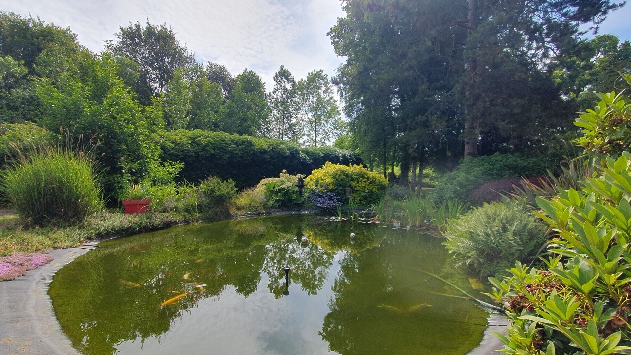 Photo of Outdoor in Betton