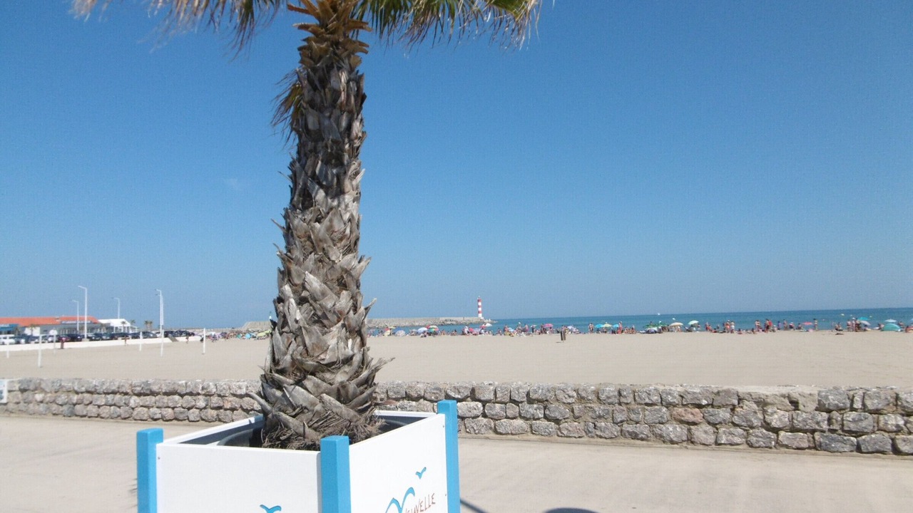 Photo of Others in Port-la-Nouvelle