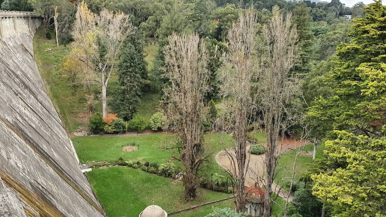 Photo of Outdoor in Healesville