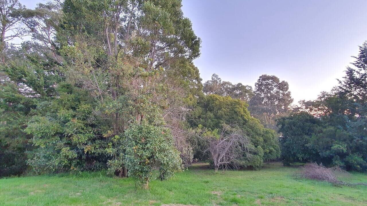 Photo of Others in Healesville