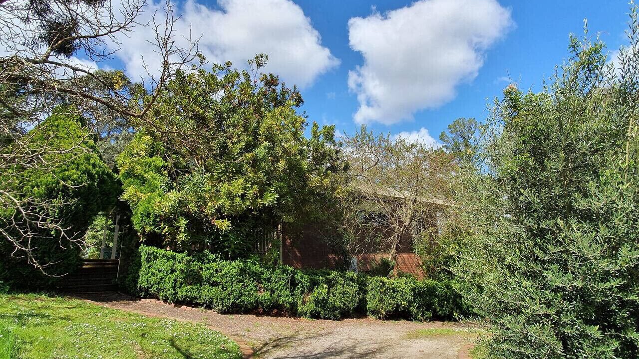 Photo of Outdoor in Healesville