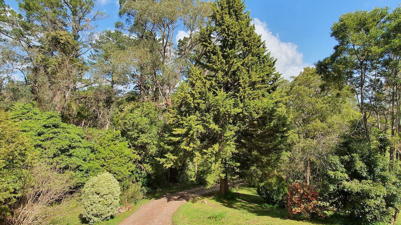 Photo of Others in Healesville