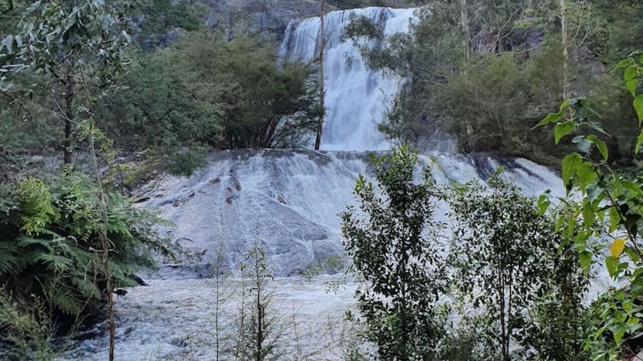 Photo of Others in Healesville