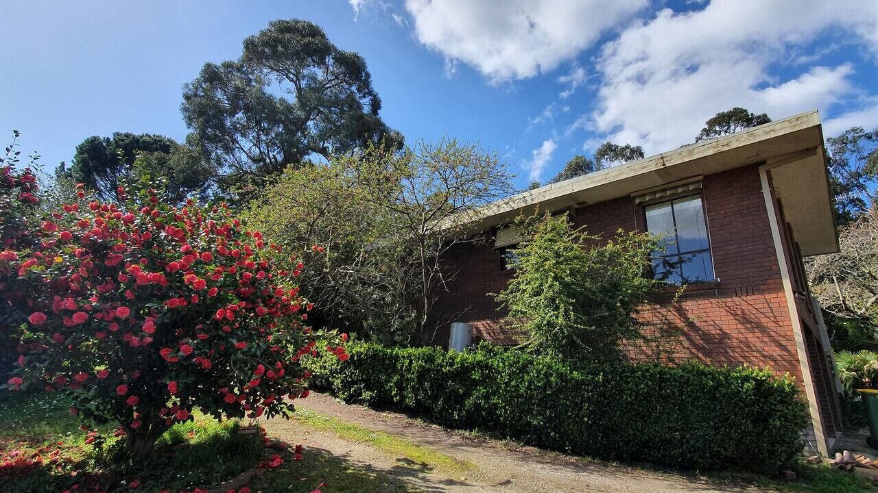 Photo of Outdoor in Healesville