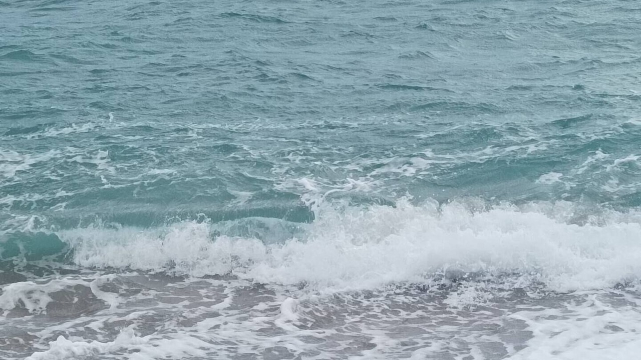 Photo of Outdoor in Canet de Mar