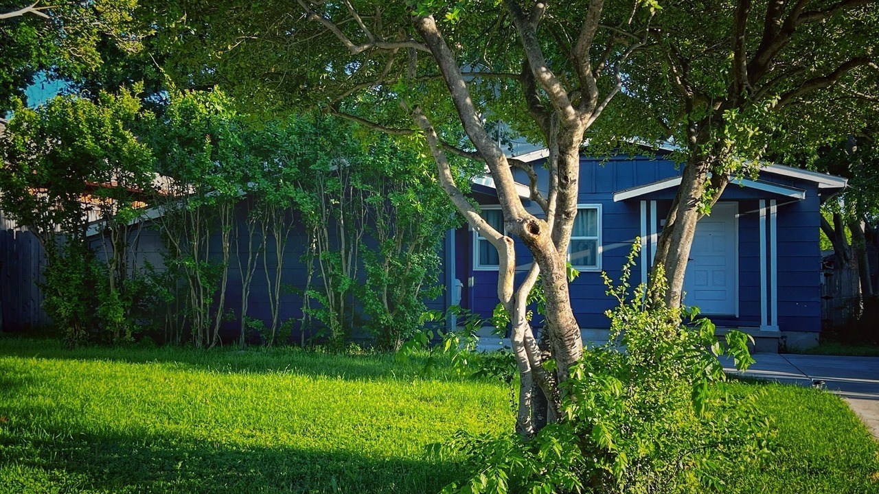 Photo of Outdoor in Preston Hollow