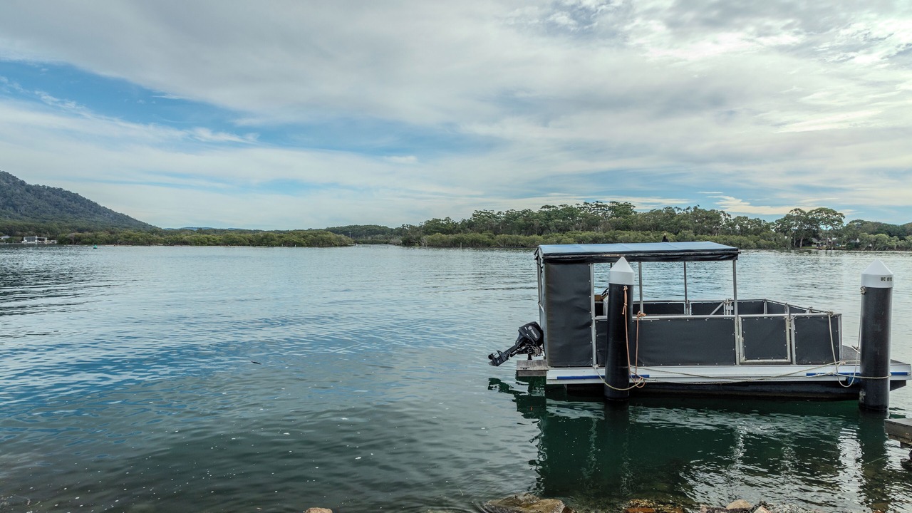 Photo of Others in Dunbogan