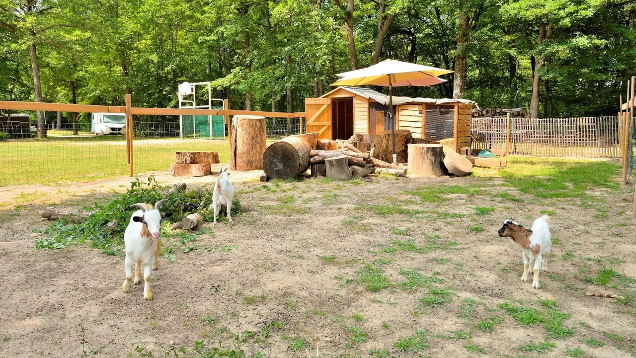 Photo of Outdoor in Combreux