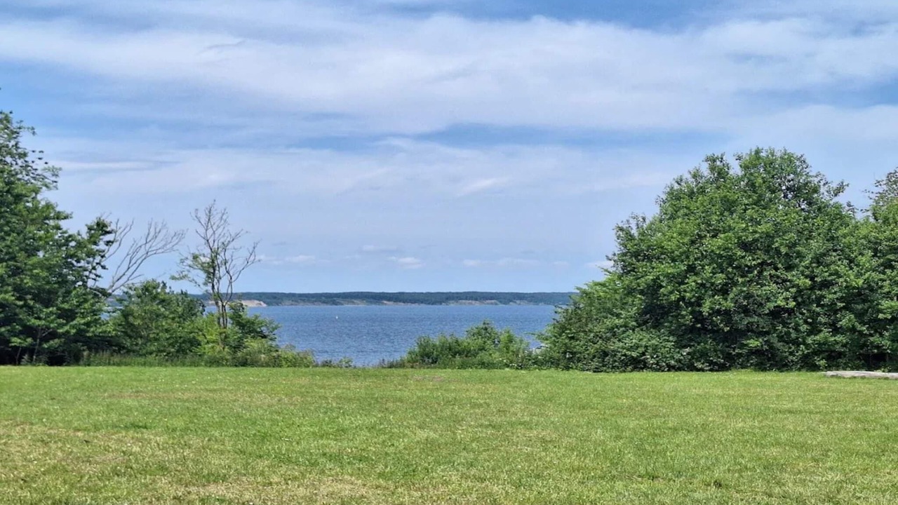 Photo of Others in Vejlby Fed