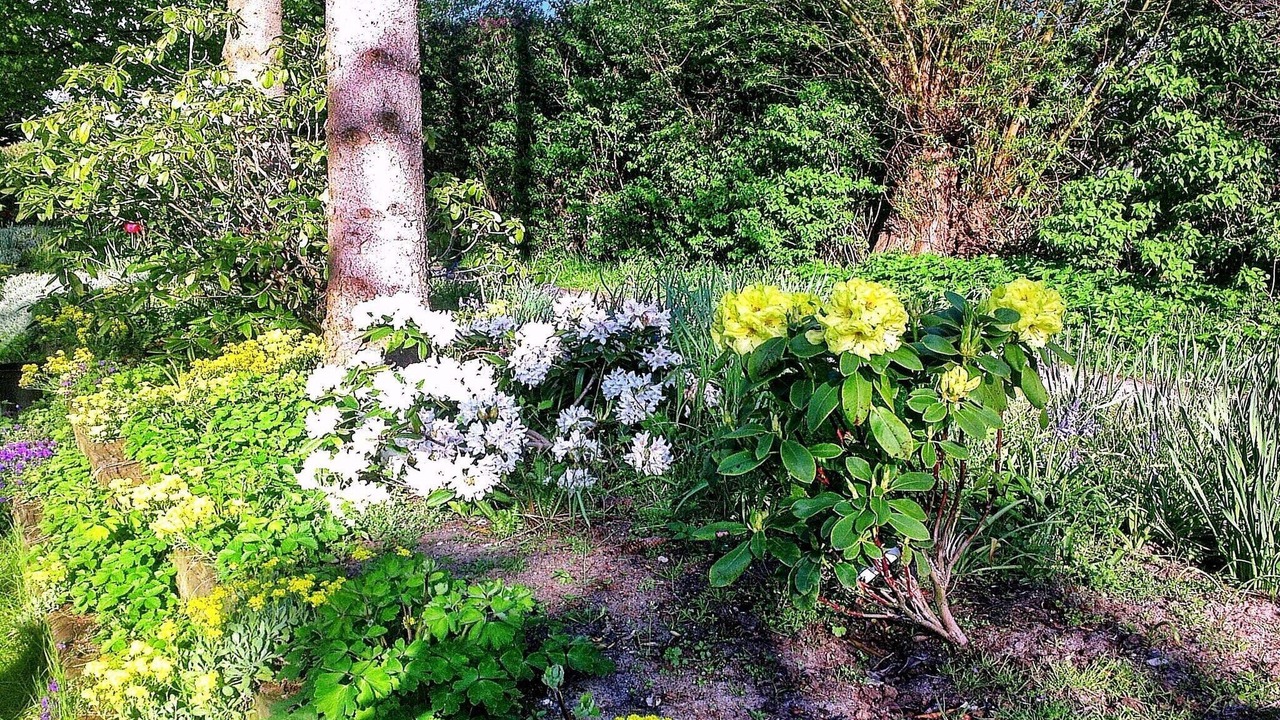Photo of Outdoor in Vejlby Fed