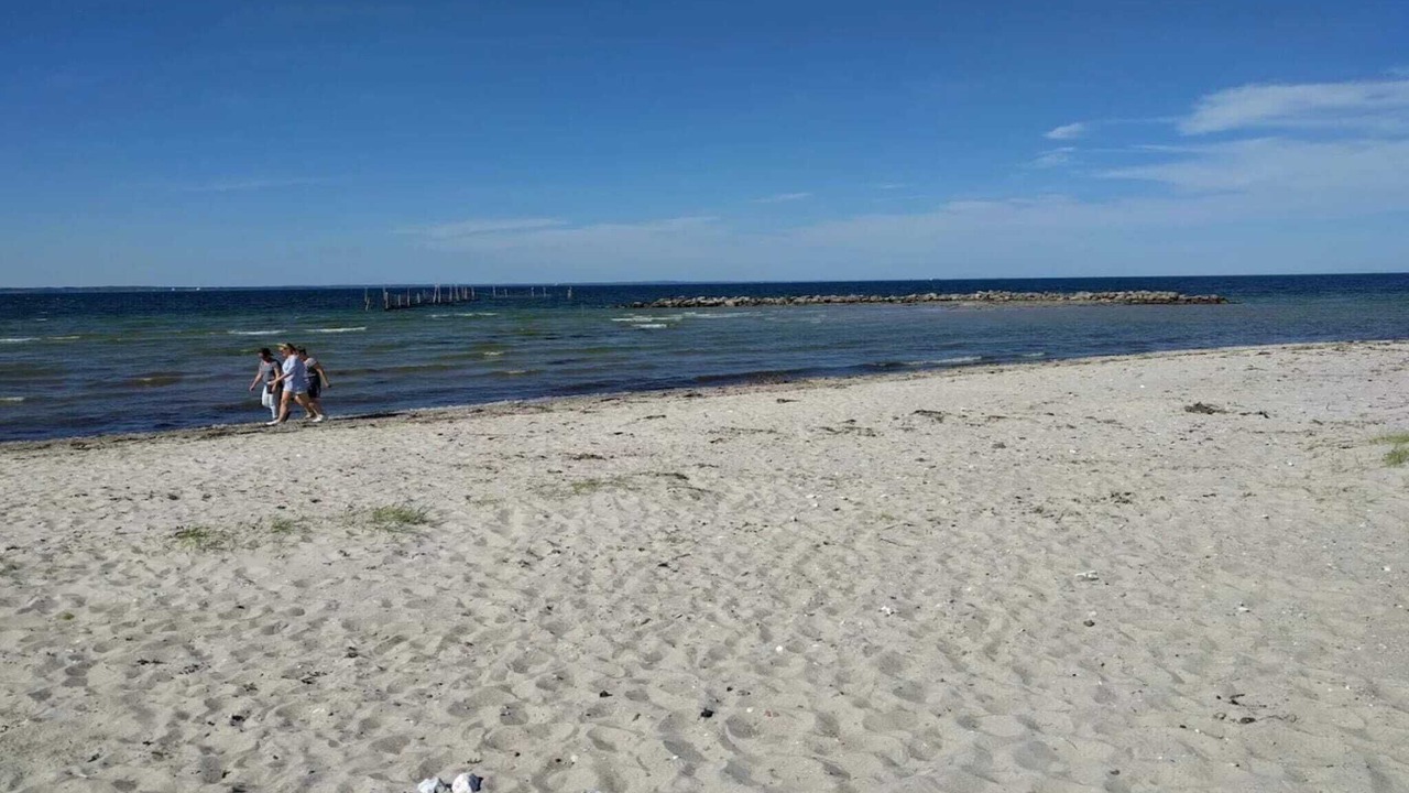 Photo of Others in Vejlby Fed