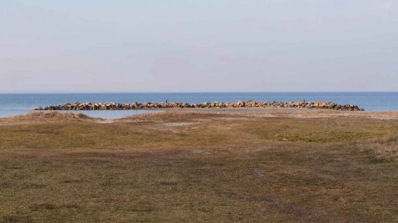 Photo of Others in Vejlby Fed
