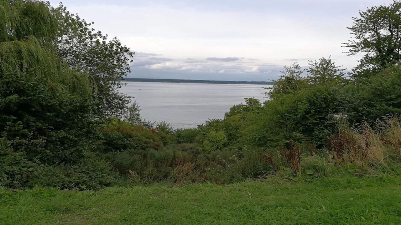 Photo of Others in Vejlby Fed