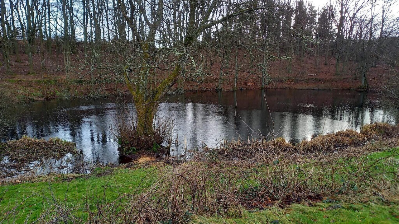 Photo of Others in Øksenmølle