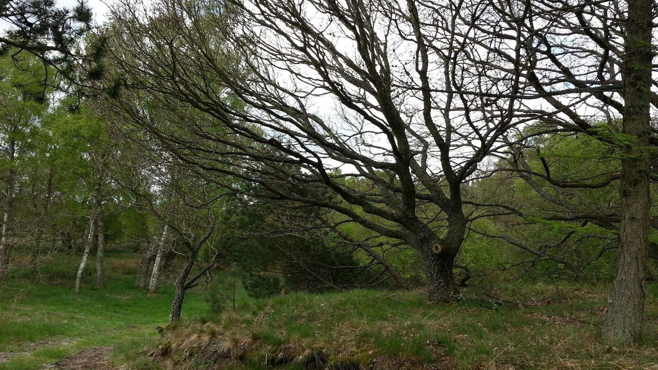 Photo of Others in Øksenmølle