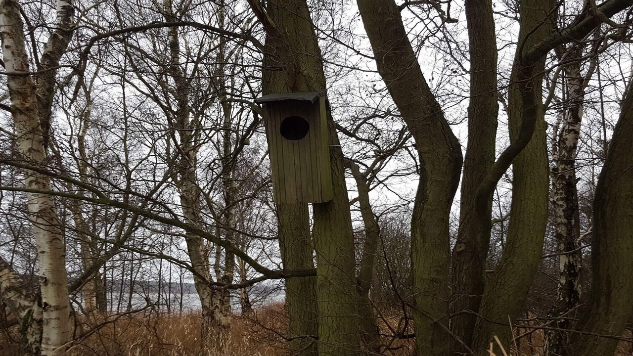 Photo of Others in Øksenmølle