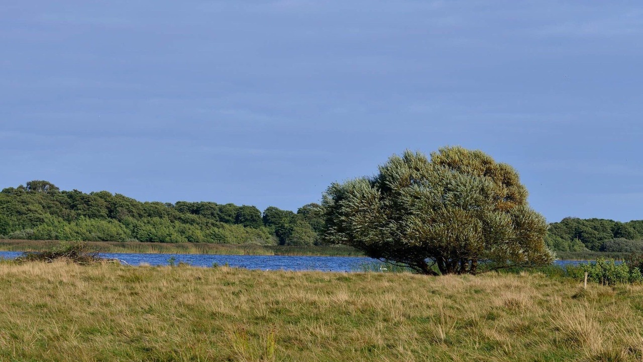 Photo of Others in Øksenmølle